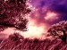 purple_dawn.jpg
